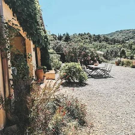 Le Mouron Rouge * La Garde-Freinet