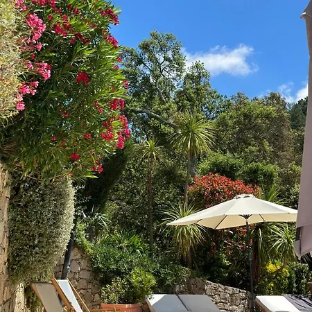Le Mouron Rouge La Garde-Freinet